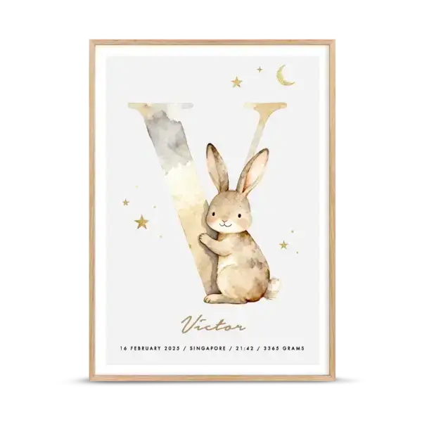 Little Letters – Letter V